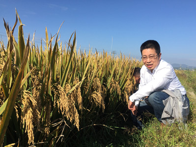 Chinese researcher named one of world's most cited scholars
