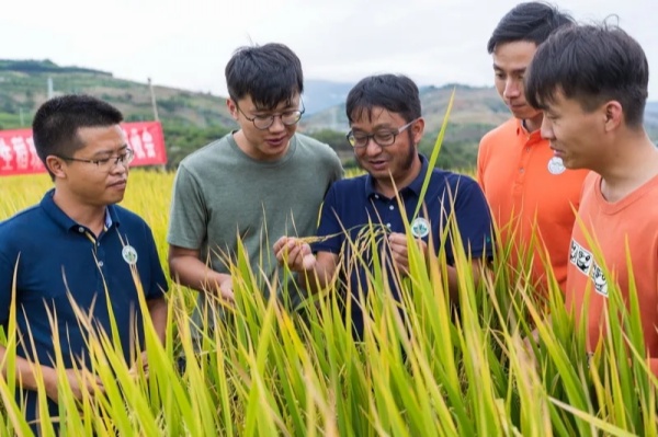 1715592580752003696.jpg 640.webp.jpg