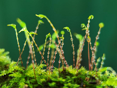Yunnan University shines in ecological civilization photography competition 