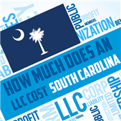 How Much Does an LLC Cost in South Carolina