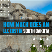 How Much Does an LLC Cost in South Dakota