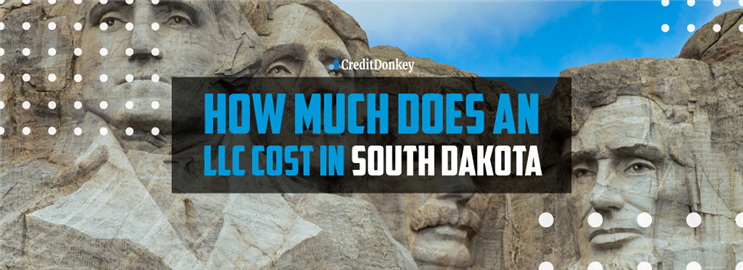 How Much Does an LLC Cost in South Dakota