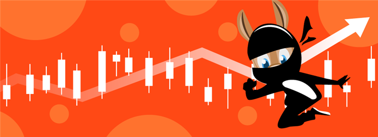 NinjaTrader Review